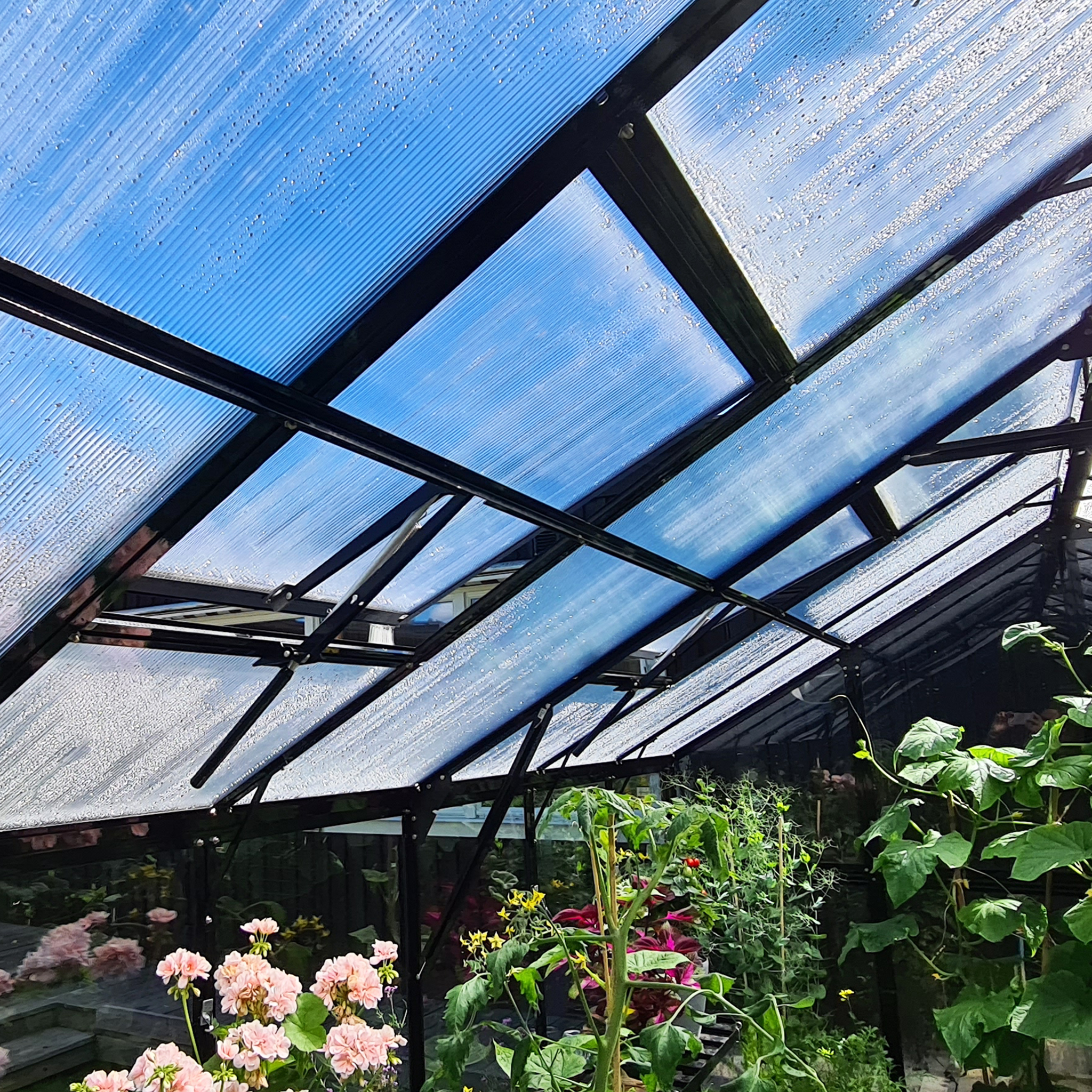 Växthus 9,6 m² | 4mm säkerhetsglas | 5 års stormgaranti Växthus 9,6 m² | 4mm säkerhetsglas | 5 års stormgaranti