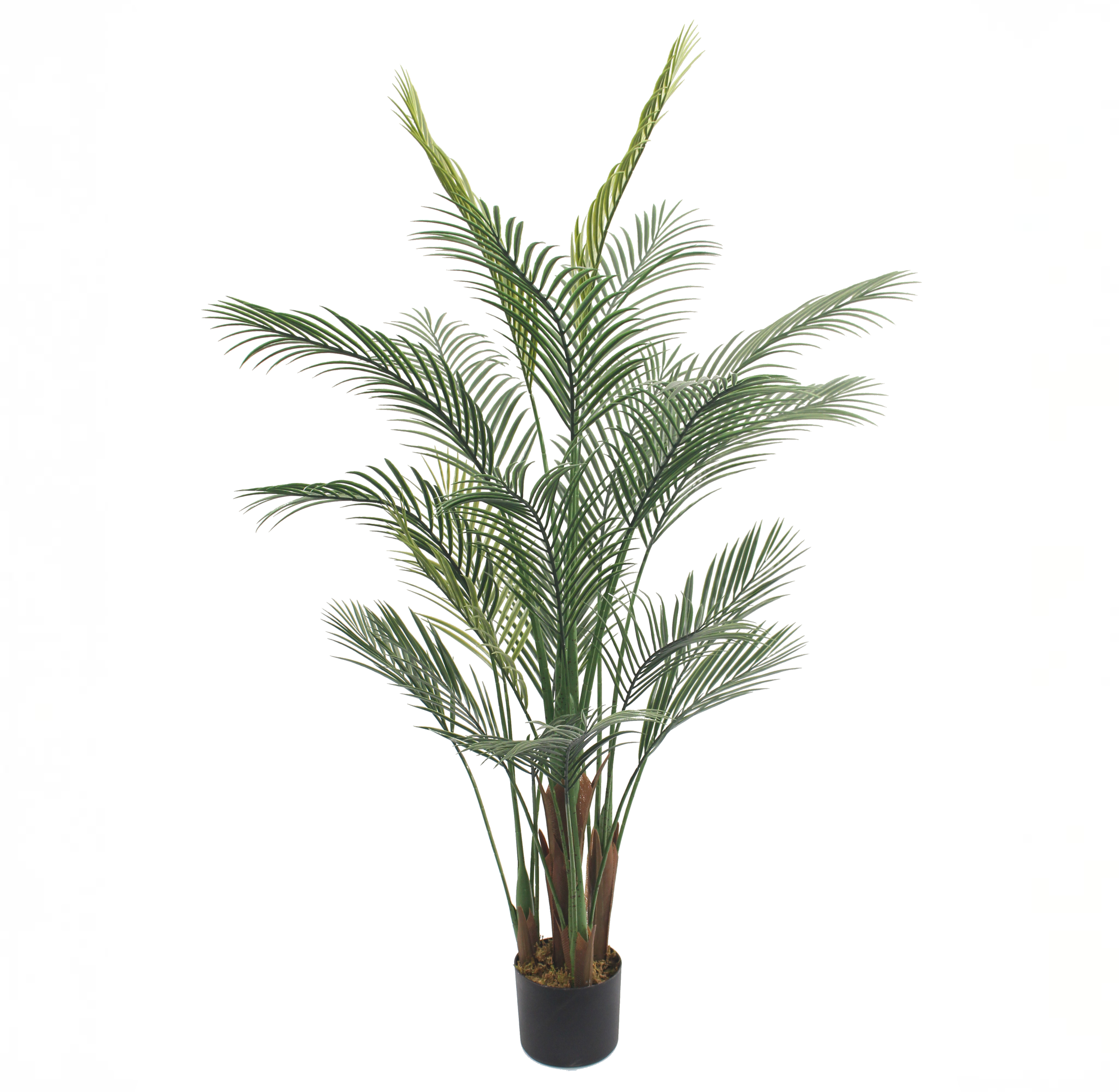 Palm plastväxt | 150 cm Palm plastväxt | 150 cm
