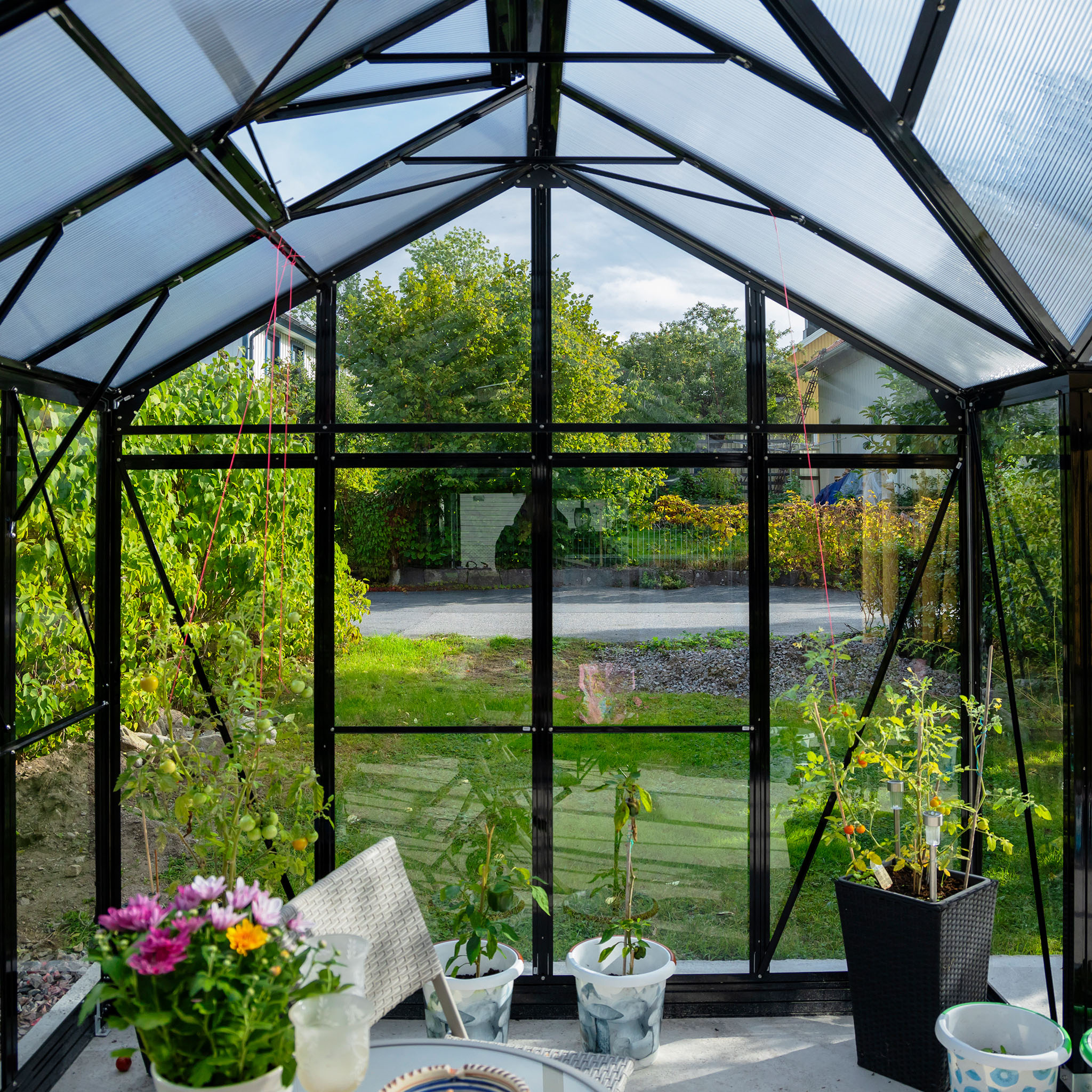 T-format glasväxthus 12,8m² | 4mm säkerhetsglas | 5 års stormgaranti T-format glasväxthus 12,8m² | 4mm säkerhetsglas | 5 års stormgaranti