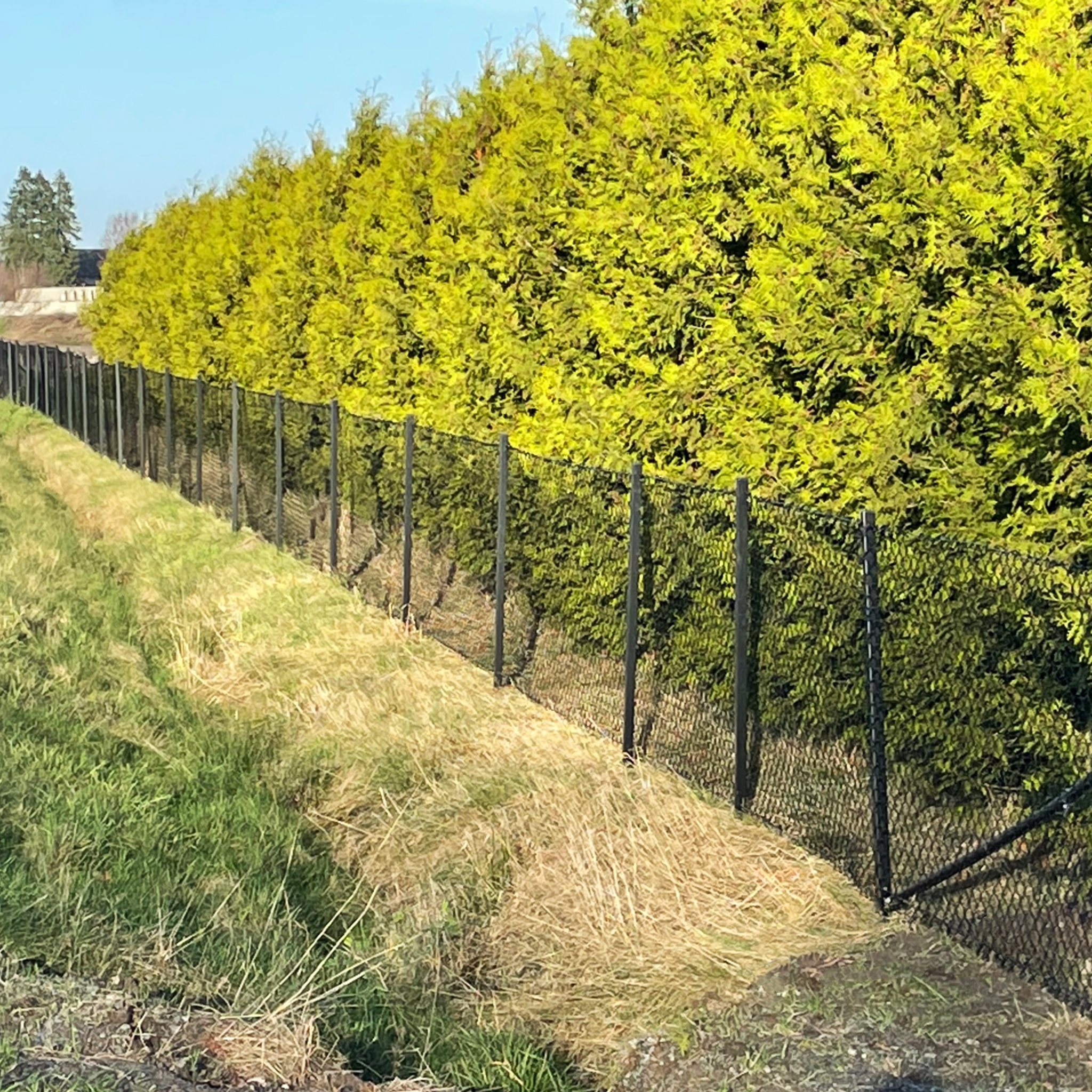 Villastängsel 120cm högt | 25 meter | Komplett paket Villastängsel 120cm högt | 25 meter | Komplett paket