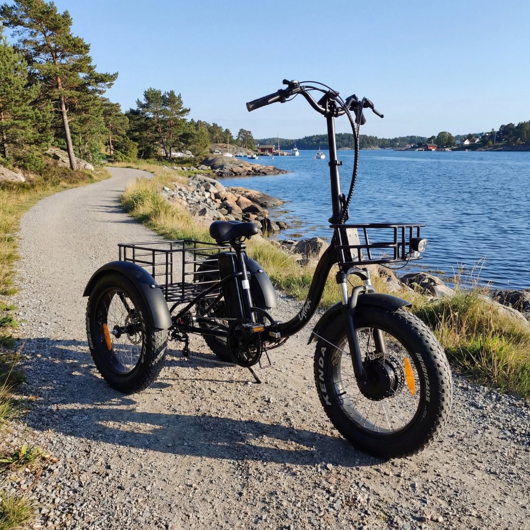 Trehjulig elcykel | Fatbike-d�ck | 6 v�xlar Shimano | 250W � 13Ah | Svart