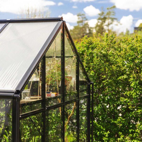 T-format glasväxthus 11,2m² | 4mm säkerhetsglas | 5 års stormgaranti T-format glasväxthus 11,2m² | 4mm säkerhetsglas | 5 års stormgaranti