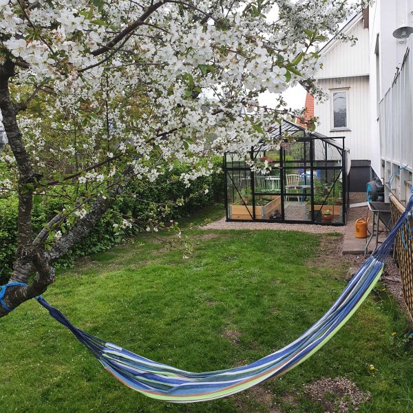 Glasväxthus 11,1m² | 4mm säkerhetsglas | 5 års stormgaranti Glasväxthus 11,1m² | 4mm säkerhetsglas | 5 års stormgaranti