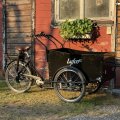 Kundbild Eldriven cargobike | 250W - 16Ah | 6 v�xlar | LG-batteri - Pro: ingen monterings...