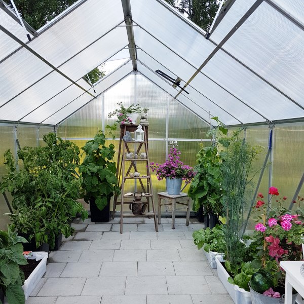 Växthus 10,7m² | Hög odlingshöjd | 6mm kanalplast Växthus 10,7m² | Hög odlingshöjd | 6mm kanalplast