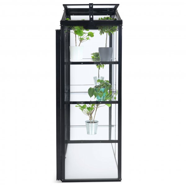 Högt miniväxthus V-tak | 4mm säkerhetsglas | Svart Högt miniväxthus V-tak | 4mm säkerhetsglas | Svart