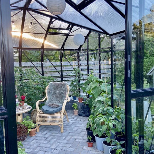 T-format glasvxthus 12,8m | 4mm skerhetsglas | 5 rs stormgaranti