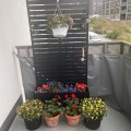 Kundbild Blomlåda med spalje | 90x180cm | Stål | Svart: Snygg spaljé och praktisk