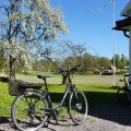 Kundbild Elcykel dam 28