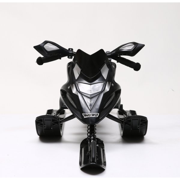 Megatron racer | Bob