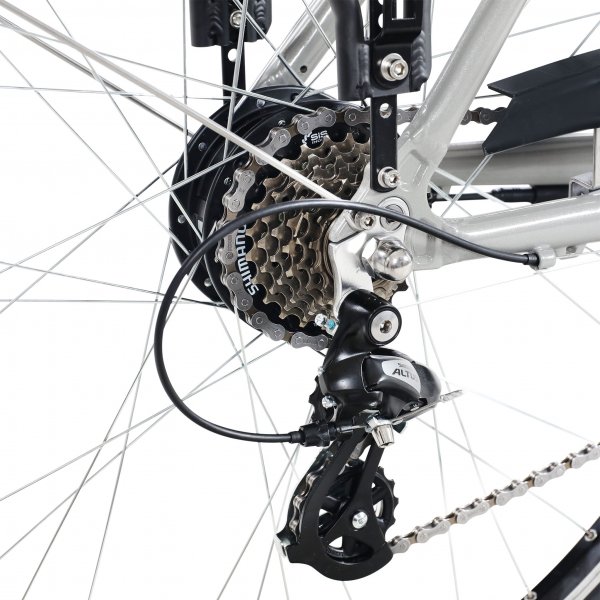Elcykel Dam 28\\\" | 21 v�xlar | 250W - 13Ah | Lyfco Ellen