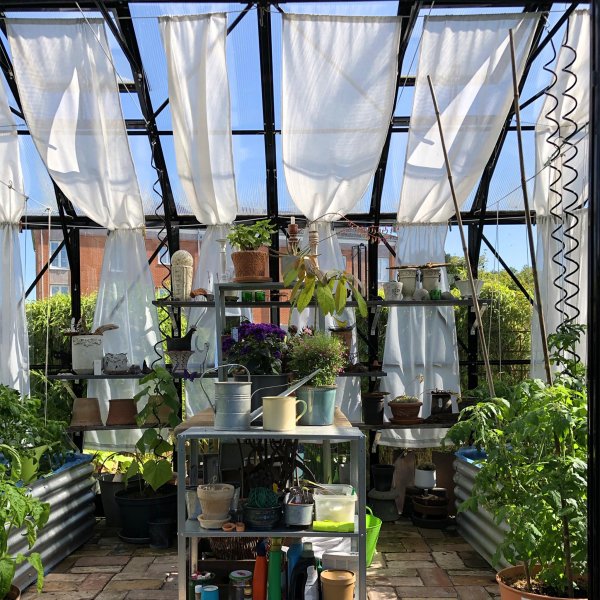 T-format glasväxthus 11,2m² | 4mm säkerhetsglas | 5 års stormgaranti T-format glasväxthus 11,2m² | 4mm säkerhetsglas | 5 års stormgaranti