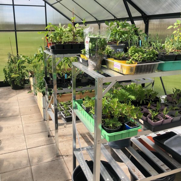 Växthus 18m² Premium | Extra hög odlingshöjd | 6mm kanalplast Växthus 18m² Premium | Extra hög odlingshöjd | 6mm kanalplast