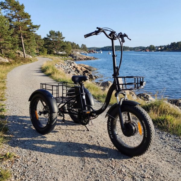 Trehjulig elcykel | Fatbike-d�ck | 6 v�xlar Shimano | 250W � 13Ah | Svart