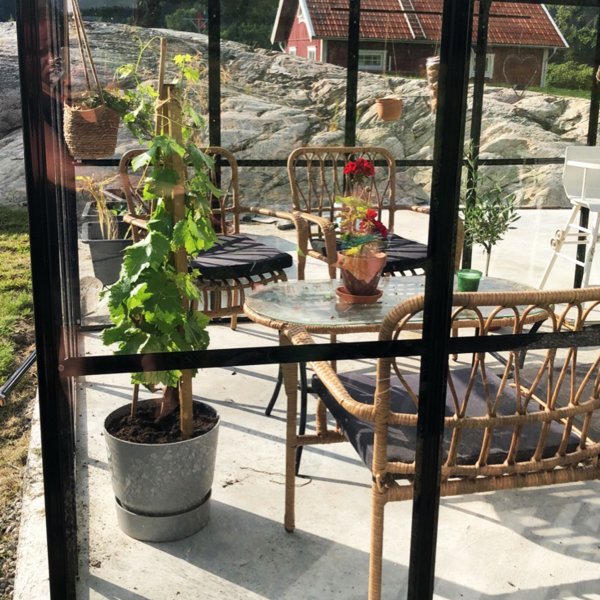 Glasväxthus 19m² | 5 års stormgaranti | 4mm säkerhetsglas Glasväxthus 19m² | 5 års stormgaranti | 4mm säkerhetsglas