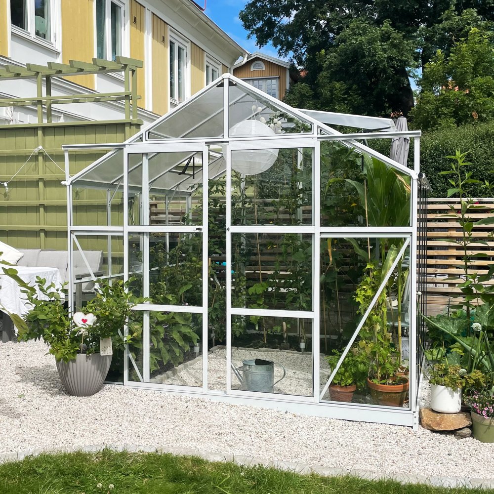 Glasväxthus 6,4 m2  5 års stormgaranti  4 mm säkerhetsglas  Vit  Yta: 6,4 m2 (2,50x 2,57 meter)