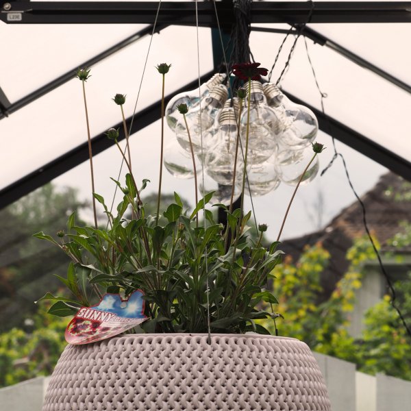 Växthus 6,4 m² | 4 mm säkerhetsglas | 5 års stormgaranti Växthus 6,4 m² | 4 mm säkerhetsglas | 5 års stormgaranti