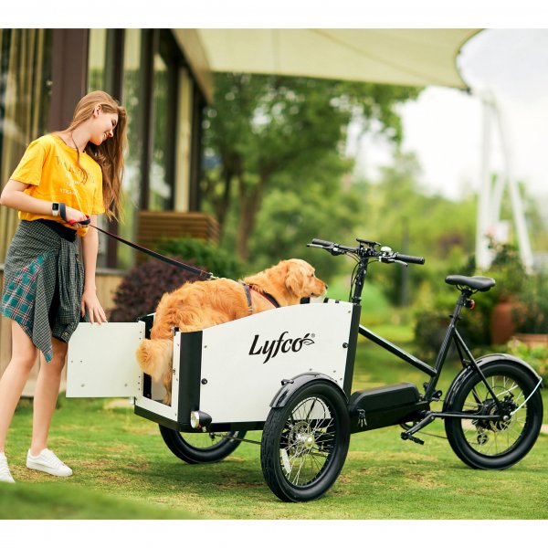 Ldcykel El | ppningsbar lda | 17,5Ah Samsungbatteri | 8 vxlar
