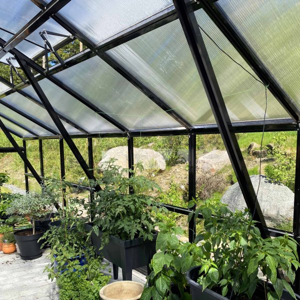 Extra brett premium glasväxthus 21m² | Stormgaranti och säkerhetsglas Extra brett premium glasväxthus 21m² | Stormgaranti och säkerhetsglas