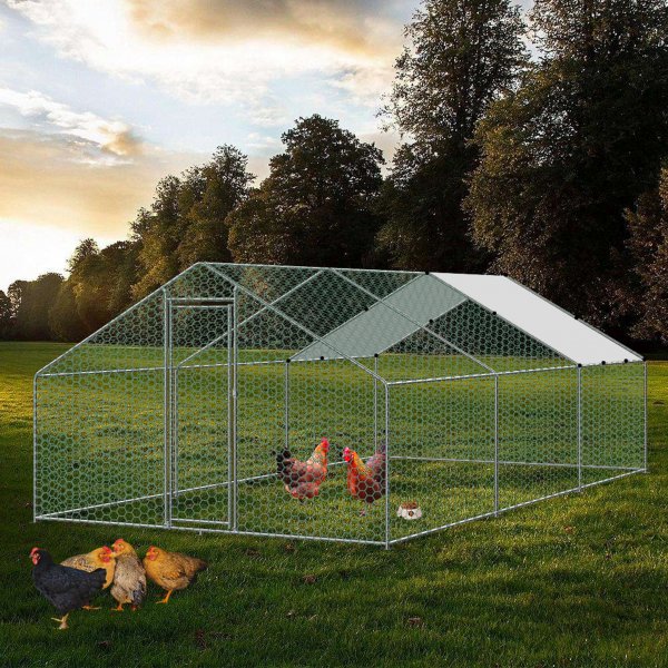 Hönsgård i galvaniserat stål | Lättstädat | Hög ståhöjd Hönsgård i galvaniserat stål | Lättstädat | Hög ståhöjd