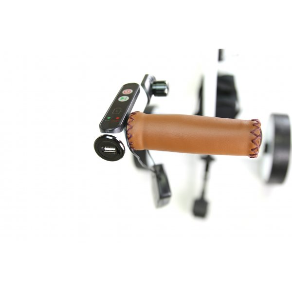 Elgolfvagn - 20Ah Premium - Lyfco R3