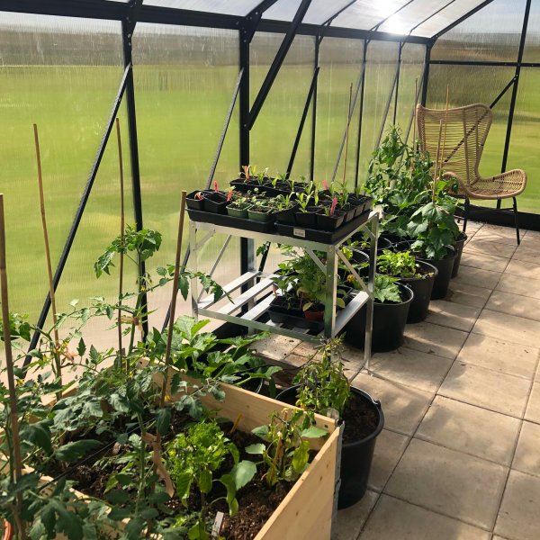 Växthus 18m² Premium | Extra hög odlingshöjd | 6mm kanalplast Växthus 18m² Premium | Extra hög odlingshöjd | 6mm kanalplast