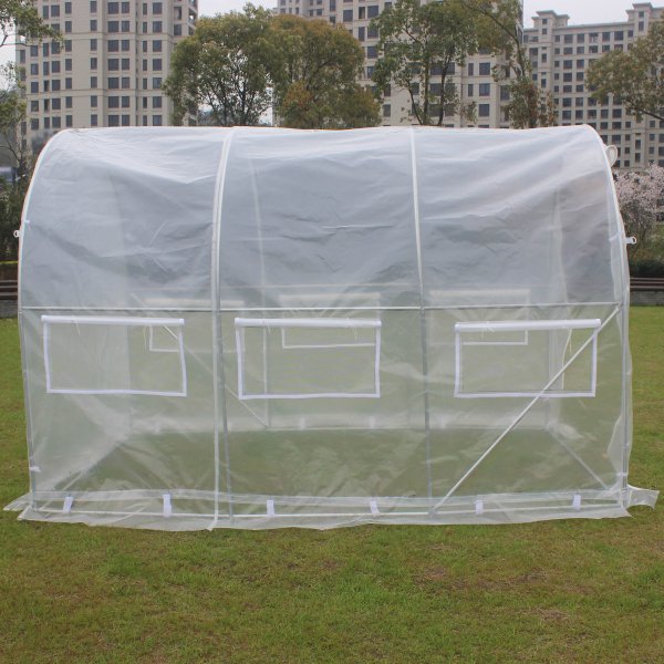 Tunnelvxthus 6m | Stlram med transparent PE-plastverdrag