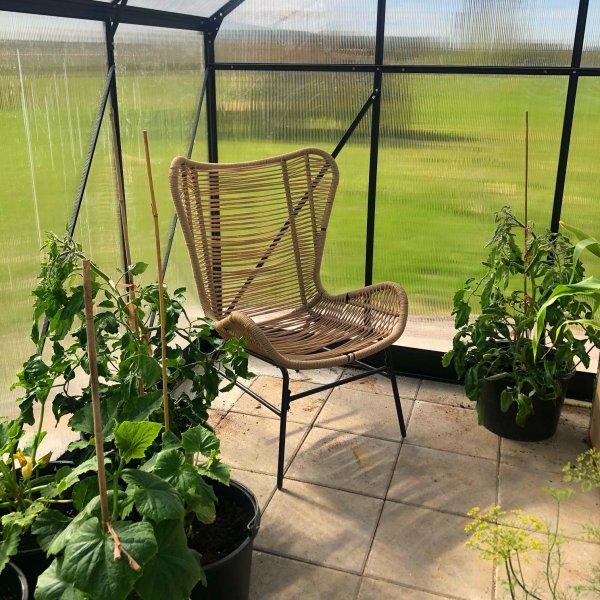 Växthus 18m² Premium | Extra hög odlingshöjd | 6mm kanalplast Växthus 18m² Premium | Extra hög odlingshöjd | 6mm kanalplast