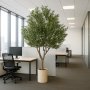 Stort konstgjort olivtr�d | 250 cm