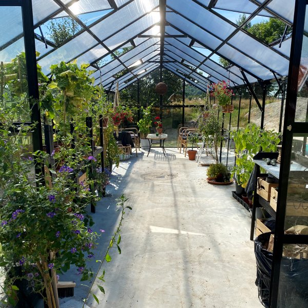 Glasväxthus 19m² | 5 års stormgaranti | 4mm säkerhetsglas Glasväxthus 19m² | 5 års stormgaranti | 4mm säkerhetsglas