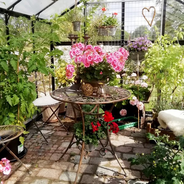 Glasväxthus 11,1m² | 4mm säkerhetsglas | 5 års stormgaranti Glasväxthus 11,1m² | 4mm säkerhetsglas | 5 års stormgaranti