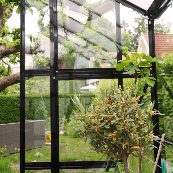 Växthus 8,0m² | 4mm säkerhetsglas | 5 års stormgaranti Växthus 8,0m² | 4mm säkerhetsglas | 5 års stormgaranti