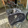Kundbild Cykelvagn f�r hund | Lastkapacitet 40kg | Hopf�llbar: B�de jag och hunden �r n�jda